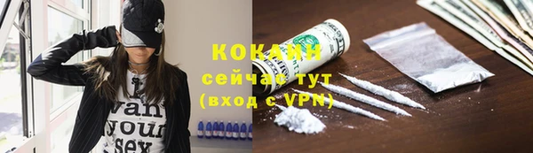 молекула духа Белокуриха