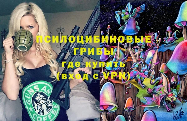 мет Богданович