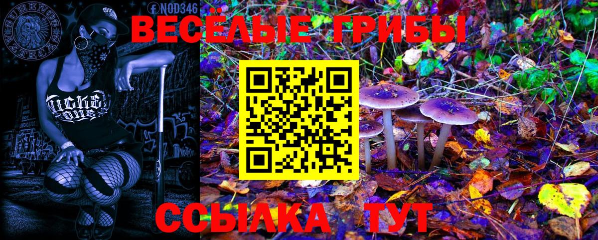 Псилоцибиновые грибы Magic Shrooms  Вход с VPN  Воркута 